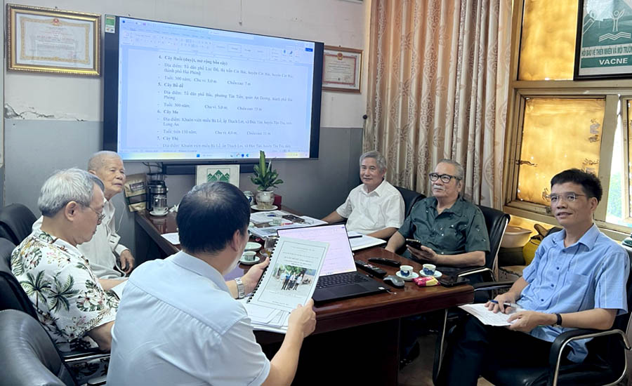 Thêm[-]46[-]cây[-]cổ[-]thụ[-]của[-]5[-]tỉnh,[-]thành[-]phố[-]lọt[-]vào[-]danh[-]sách[-]Cây[-]Di[-]sản[-]Việt[-]Nam